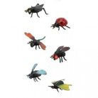 Állat klt., bogár, rovar, 6 db, 4-6 cm, 17x18 cm lapon