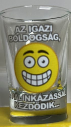 Vicces pálinkás pohárszett 6db-os 35ml "Rövid és ütős"
