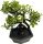 Dekor kaspó bonsai EVA5688 