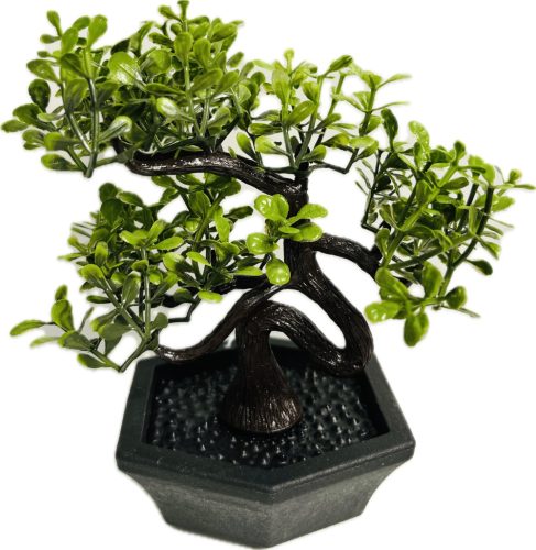 Dekor kaspó bonsai EVA5688 