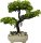 Dekor kaspó  bonsai EVA5660