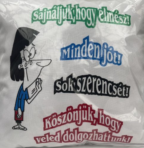 Párna "Sajnáljuk, hogy elmész"