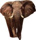 Puzzle Clementoni 500 db-os Elefánt Afrikan Sunset