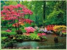 Puzzle, nyugodt esős táj, 500 db-os