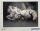 Puzzle Clementoni 1000db-os   Kitty Cicus