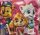 Mancsőrjárat Lányos Paw Patrol Flowers 40*40cm